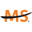 National MS Society logo