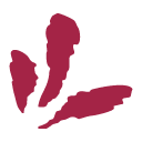 Nazca logo