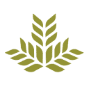 Northeast Georgia Health System logo