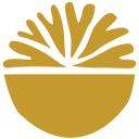 Noonday Collection logo