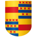 Nyenrode Business University logo