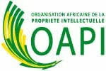 Oapi logo