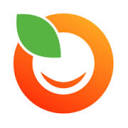 Orange Hotel logo