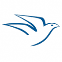 Peaceaction logo