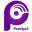 PEARLPET - Pearl Polymers Limited logo