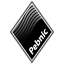 Pebnic Ventures Limited logo