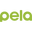 Pela Case Corporation logo