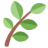Plantyouridea logo