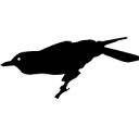 Poe’s Tavern logo