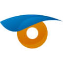 Pronet Security Services logo