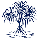 Punahou logo