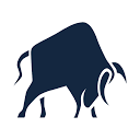 Raging Bull Ltd logo