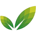 Rashi logo