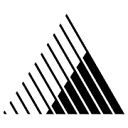 Rayner Surgical Group logo