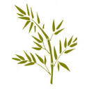 Sanavida logo