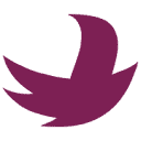 Secure Meters Ltd. logo