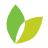 Shaw’s, Inc. logo