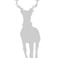 Silverlight ltd. logo