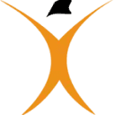 Spine Team Texas logo