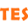 TESmart logo