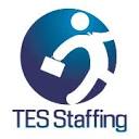 TES Staffing Inc. logo