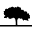 Tupelo Honey Cafe logo