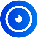 Videsk logo
