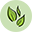 Wingreens Farms logo